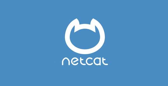 Логотип NetCat CMS