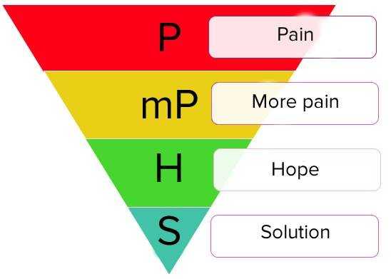 Структура стратегии PMPHS